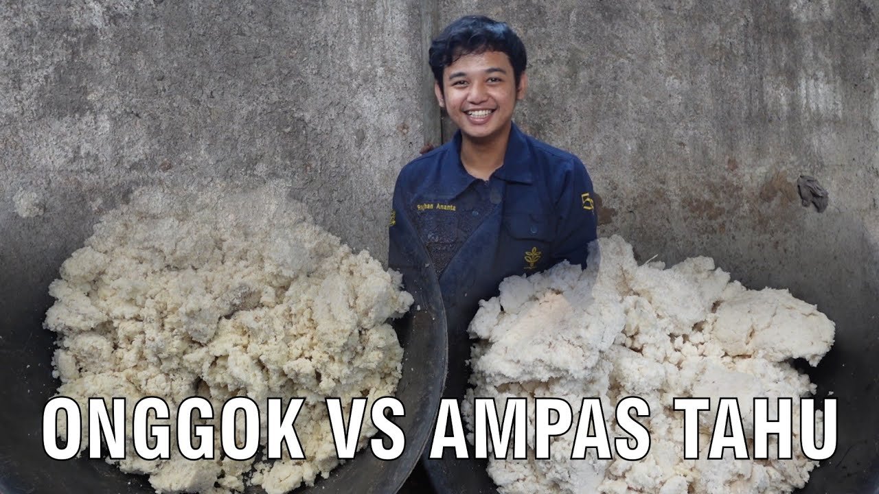 
                                 Onggok-Dan-Ampas-Tahu-Pakan-Ternak